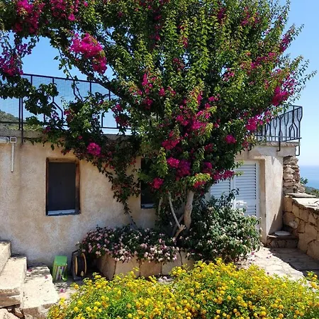 Villa Sardinia Family - Carmen With Sea View And Pool *