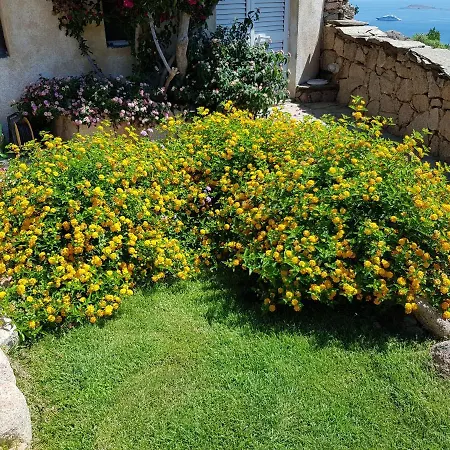 빌라 Sardinia Family - Carmen With Sea View And Pool
