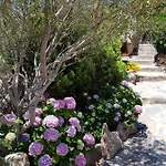 Sardinia Family - Carmen With Sea View And Pool Vila Porto Cervo