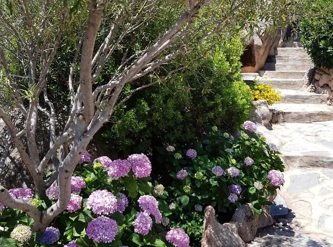 Sardinia Family - Carmen With Sea View And Pool 别墅 切尔沃港