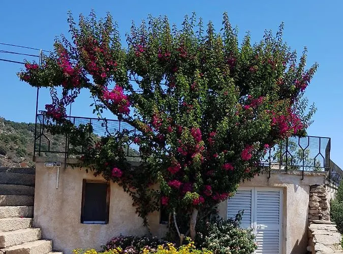 Sardinia Family - Carmen With Sea View And Pool Villa