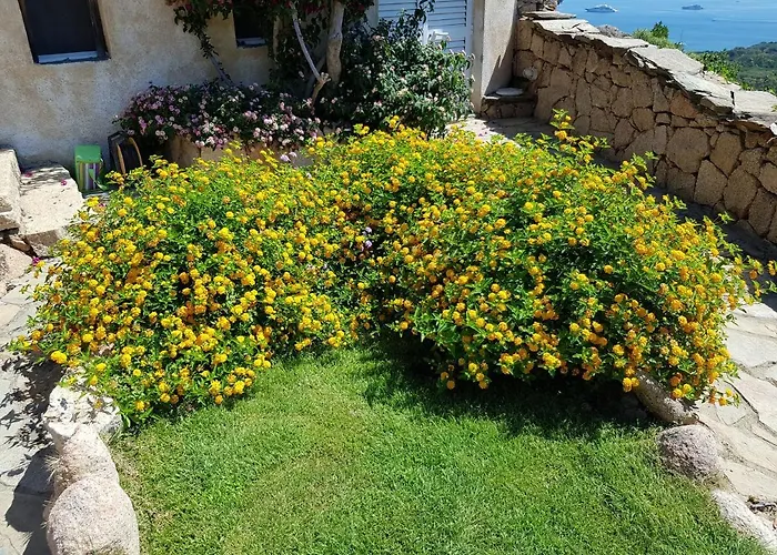 Villa Sardinia Family - Carmen With Sea View And Pool